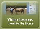 Video Lessons